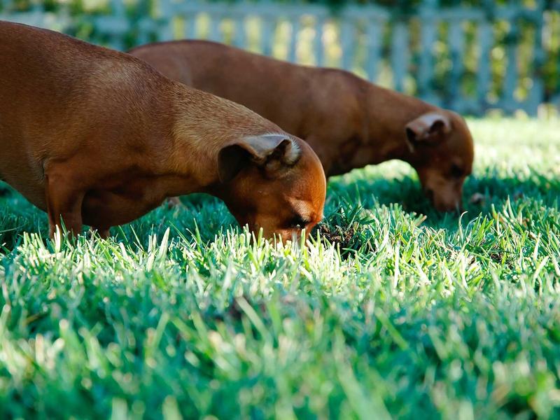 sudoku skill improvement screenshot 1