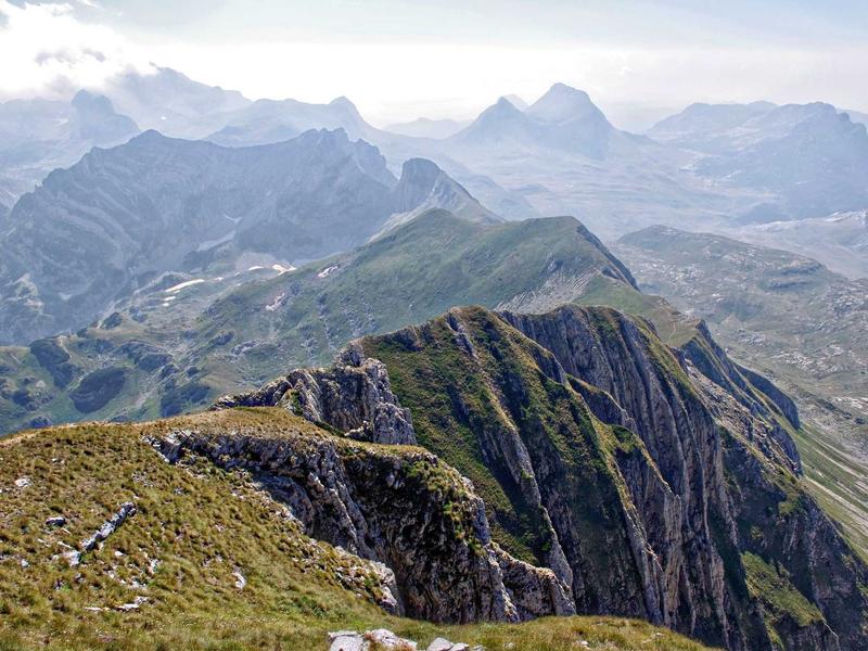 feedback screenshot 4